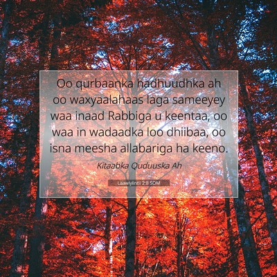 Picture 07 - Laawiyiintii 2:8 SOM - Oo qurbaanka hadhuudhka ah oo waxyaalahaas laga - Bible Verse Picture