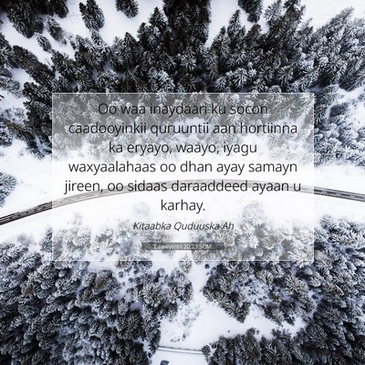Picture 07 - Laawiyiintii 20:23 SOM - Oo waa inaydaan ku socon caadooyinkii quruuntii - Bible Verse Picture