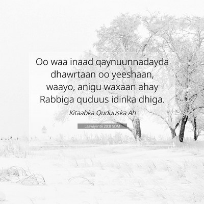 Picture 07 - Laawiyiintii 20:8 SOM - Oo waa inaad qaynuunnadayda dhawrtaan oo - Bible Verse Picture