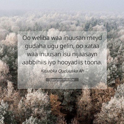Picture 07 - Laawiyiintii 21:11 SOM - Oo weliba waa inuusan meyd gudaha ugu gelin, oo - Bible Verse Picture