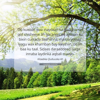Picture 07 - Laawiyiintii 22:25 SOM - Oo kuwaas waa inaydaan ka guddoomin qof shisheeye - Bible Verse Picture