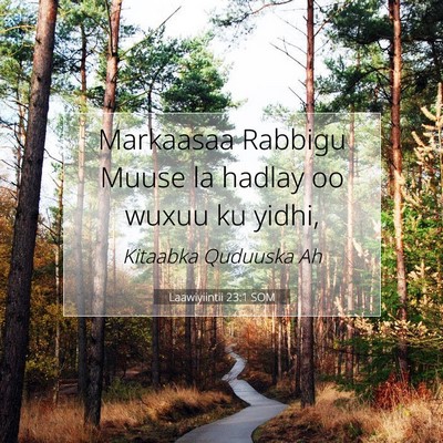 Picture 07 - Laawiyiintii 23:1 SOM - Markaasaa Rabbigu Muuse la hadlay oo wuxuu ku - Bible Verse Picture
