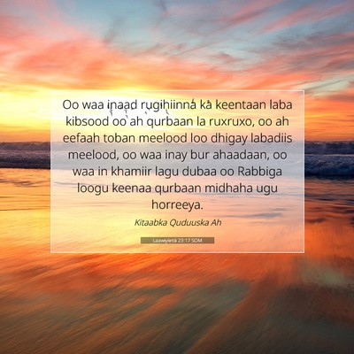Picture 07 - Laawiyiintii 23:17 SOM - Oo waa inaad rugihiinna ka keentaan laba kibsood - Bible Verse Picture