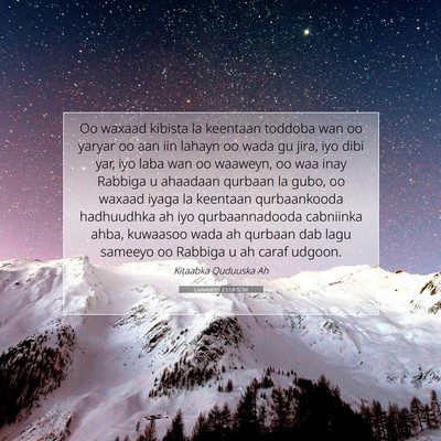 Picture 07 - Laawiyiintii 23:18 SOM - Oo waxaad kibista la keentaan toddoba wan oo - Bible Verse Picture