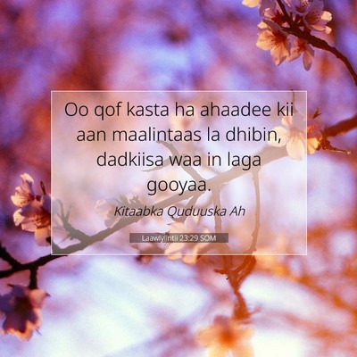 Picture 07 - Laawiyiintii 23:29 SOM - Oo qof kasta ha ahaadee kii aan maalintaas la - Bible Verse Picture