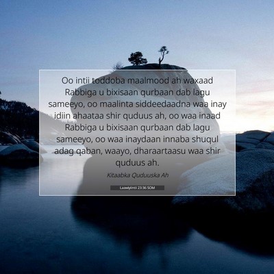 Picture 07 - Laawiyiintii 23:36 SOM - Oo intii toddoba maalmood ah waxaad Rabbiga u - Bible Verse Picture