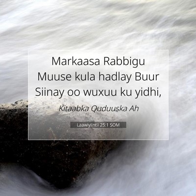 Picture 07 - Laawiyiintii 25:1 SOM - Markaasa Rabbigu Muuse kula hadlay Buur Siinay oo - Bible Verse Picture