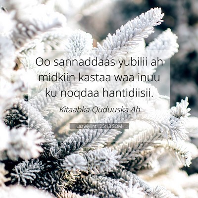 Picture 07 - Laawiyiintii 25:13 SOM - Oo sannaddaas yubilii ah midkiin kastaa waa inuu - Bible Verse Picture
