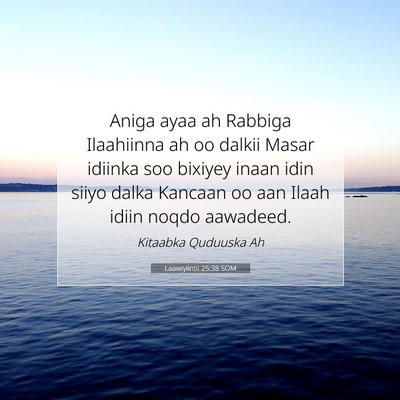 Picture 07 - Laawiyiintii 25:38 SOM - Aniga ayaa ah Rabbiga Ilaahiinna ah oo dalkii - Bible Verse Picture
