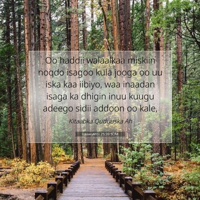 Picture 07 - Laawiyiintii 25:39 SOM - Oo haddii walaalkaa miskiin noqdo isagoo kula - Bible Verse Picture