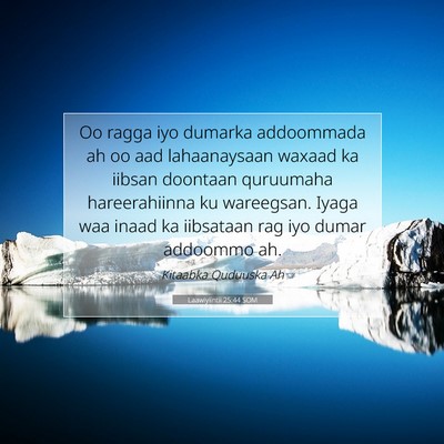 Picture 07 - Laawiyiintii 25:44 SOM - Oo ragga iyo dumarka addoommada ah oo aad - Bible Verse Picture