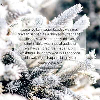 Picture 07 - Laawiyiintii 25:50 SOM - Isaga iyo kan isaga iibsaday waa inay tiriyaan - Bible Verse Picture