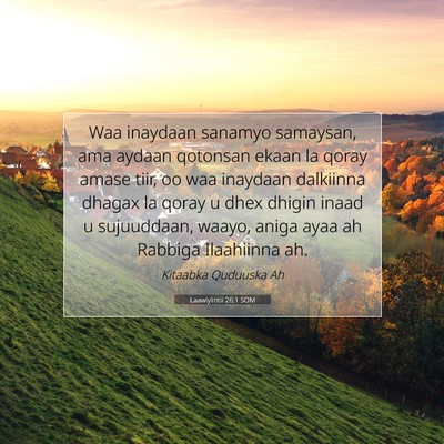 Picture 07 - Laawiyiintii 26:1 SOM - Waa inaydaan sanamyo samaysan, ama aydaan - Bible Verse Picture