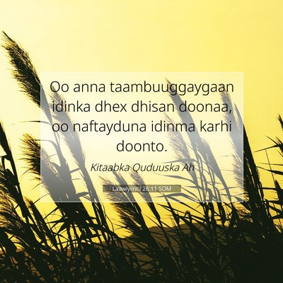 Picture 07 - Laawiyiintii 26:11 SOM - Oo anna taambuuggaygaan idinka dhex dhisan - Bible Verse Picture