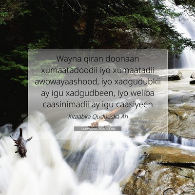 Picture 07 - Laawiyiintii 26:40 SOM - Wayna qiran doonaan xumaatadoodii iyo xumaatadii - Bible Verse Picture
