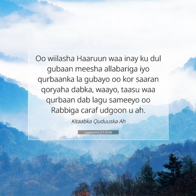 Picture 07 - Laawiyiintii 3:5 SOM - Oo wiilasha Haaruun waa inay ku dul gubaan meesha - Bible Verse Picture
