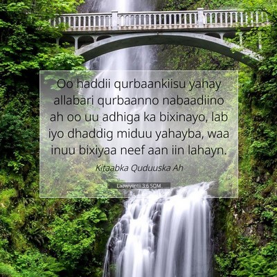 Picture 07 - Laawiyiintii 3:6 SOM - Oo haddii qurbaankiisu yahay allabari qurbaanno - Bible Verse Picture