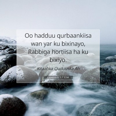 Picture 07 - Laawiyiintii 3:7 SOM - Oo hadduu qurbaankiisa wan yar ku bixinayo, - Bible Verse Picture