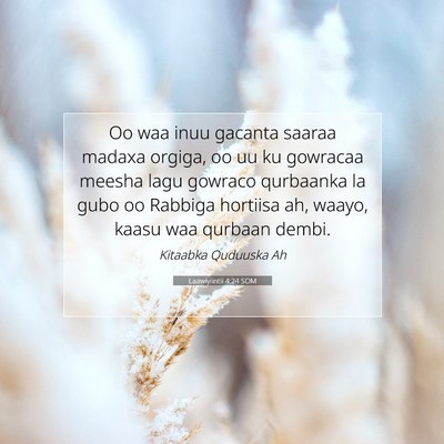 Picture 07 - Laawiyiintii 4:24 SOM - Oo waa inuu gacanta saaraa madaxa orgiga, oo uu - Bible Verse Picture