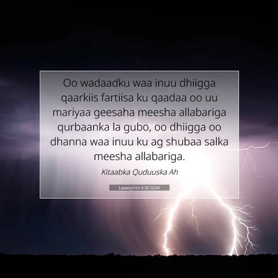 Picture 07 - Laawiyiintii 4:30 SOM - Oo wadaadku waa inuu dhiigga qaarkiis fartiisa ku - Bible Verse Picture