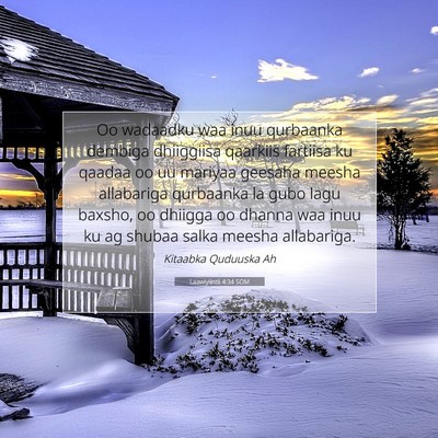 Picture 07 - Laawiyiintii 4:34 SOM - Oo wadaadku waa inuu qurbaanka dembiga dhiiggiisa - Bible Verse Picture