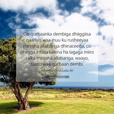 Picture 07 - Laawiyiintii 5:9 SOM - Oo qurbaanka dembiga dhiiggiisa qaarkiis waa inuu - Bible Verse Picture