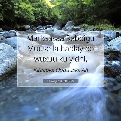 Picture 07 - Laawiyiintii 6:8 SOM - Markaasaa Rabbigu Muuse la hadlay oo wuxuu ku - Bible Verse Picture