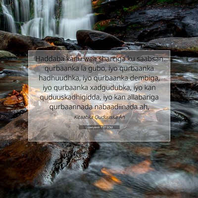 Picture 07 - Laawiyiintii 7:37 SOM - Haddaba kanu waa sharciga ku saabsan qurbaanka la - Bible Verse Picture