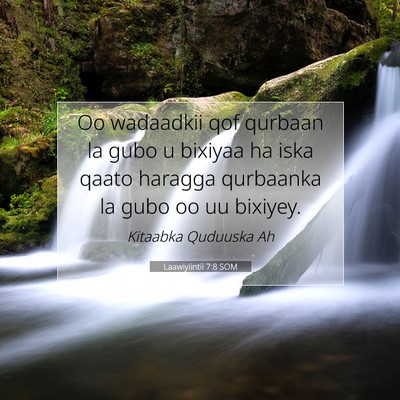 Picture 07 - Laawiyiintii 7:8 SOM - Oo wadaadkii qof qurbaan la gubo u bixiyaa ha - Bible Verse Picture