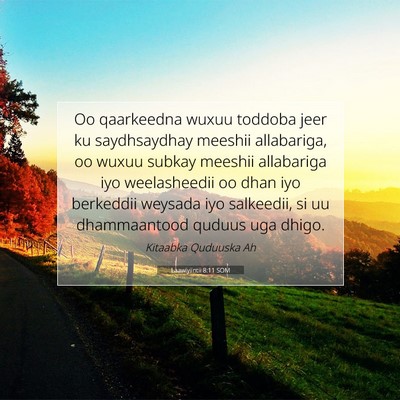 Picture 07 - Laawiyiintii 8:11 SOM - Oo qaarkeedna wuxuu toddoba jeer ku saydhsaydhay - Bible Verse Picture