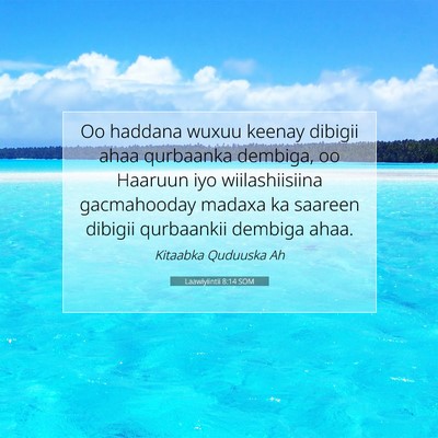Picture 07 - Laawiyiintii 8:14 SOM - Oo haddana wuxuu keenay dibigii ahaa qurbaanka - Bible Verse Picture