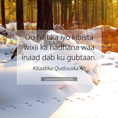 Picture 07 - Laawiyiintii 8:32 SOM - Oo hilibka iyo kibista wixii ka hadhana waa inaad - Bible Verse Picture