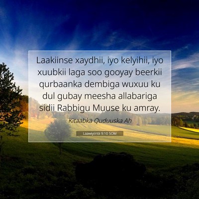Picture 07 - Laawiyiintii 9:10 SOM - Laakiinse xaydhii, iyo kelyihii, iyo xuubkii laga - Bible Verse Picture