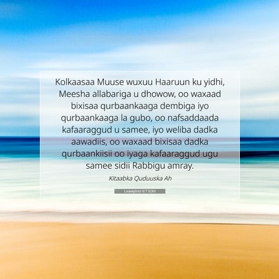 Picture 07 - Laawiyiintii 9:7 SOM - Kolkaasaa Muuse wuxuu Haaruun ku yidhi, Meesha - Bible Verse Picture