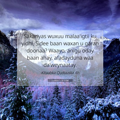 Picture 07 - Luukos 1:18 SOM - Sakariyas wuxuu malaa'igtii ku yidhi, Sidee baan - Bible Verse Picture