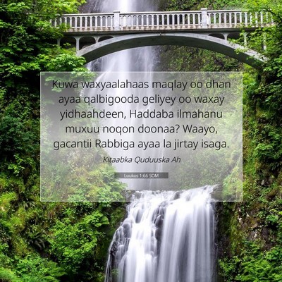 Picture 07 - Luukos 1:66 SOM - Kuwa waxyaalahaas maqlay oo dhan ayaa qalbigooda - Bible Verse Picture