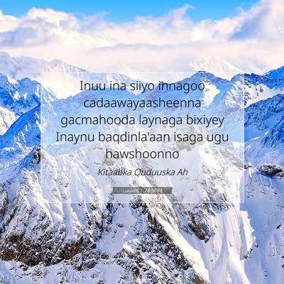 Picture 07 - Luukos 1:74 SOM - Inuu ina siiyo innagoo cadaawayaasheenna - Bible Verse Picture