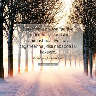 Picture 07 - Luukos 1:79 SOM - Inay iftiimiso kuwa fadhiya gudcurka iyo hooskii - Bible Verse Picture