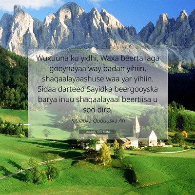Picture 07 - Luukos 10:2 SOM - Wuxuuna ku yidhi, Waxa beerta laga gooynayaa way - Bible Verse Picture