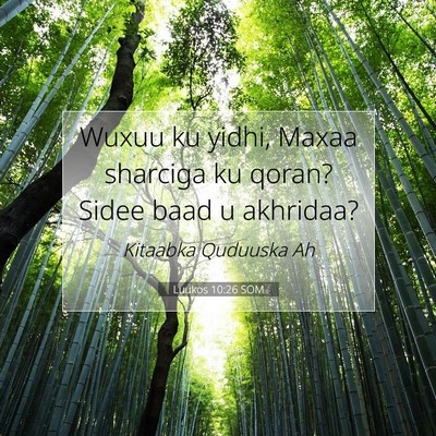 Picture 07 - Luukos 10:26 SOM - Wuxuu ku yidhi, Maxaa sharciga ku qoran? Sidee - Bible Verse Picture