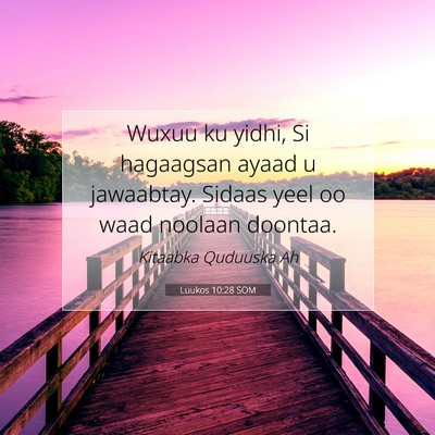 Picture 07 - Luukos 10:28 SOM - Wuxuu ku yidhi, Si hagaagsan ayaad u jawaabtay. - Bible Verse Picture