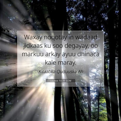 Picture 07 - Luukos 10:31 SOM - Waxay noqotay in wadaad jidkaas ku soo degayay, - Bible Verse Picture