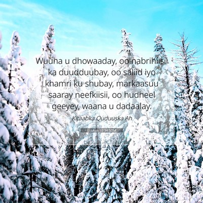 Picture 07 - Luukos 10:34 SOM - Wuuna u dhowaaday, oo nabrihiisii ka duudduubay, - Bible Verse Picture
