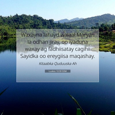 Picture 07 - Luukos 10:39 SOM - Waxayna lahayd walaal Maryan la odhan jiray, oo - Bible Verse Picture
