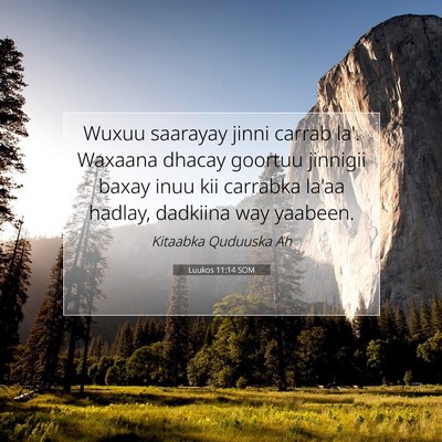 Picture 07 - Luukos 11:14 SOM - Wuxuu saarayay jinni carrab la'. Waxaana dhacay - Bible Verse Picture