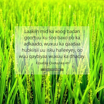 Picture 07 - Luukos 11:22 SOM - Laakiin mid ka xoog badan goortuu ku soo baxo oo - Bible Verse Picture