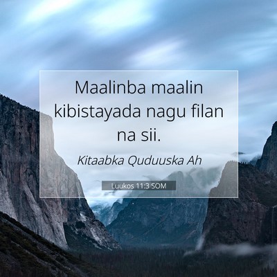 Picture 07 - Luukos 11:3 SOM - Maalinba maalin kibistayada nagu filan na - Bible Verse Picture