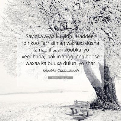 Picture 07 - Luukos 11:39 SOM - Sayidka ayaa ku yidhi, Haddeer idinkoo Farrisiin - Bible Verse Picture
