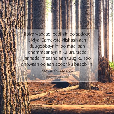 Picture 07 - Luukos 12:33 SOM - Iibiya waxaad leedihiin oo sadaqo bixiya. - Bible Verse Picture