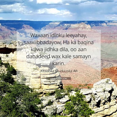 Picture 07 - Luukos 12:4 SOM - Waxaan idinku leeyahay, saaxiibbadayow, Ha ka - Bible Verse Picture